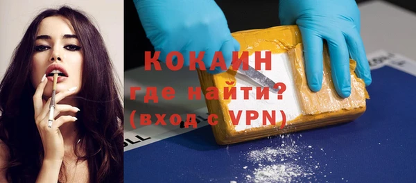 молекула духа Новозыбков