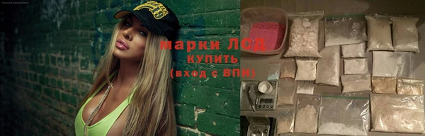 прущие крисы Новодвинск