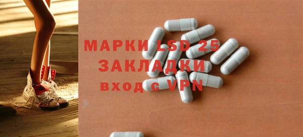 молекула духа Новозыбков