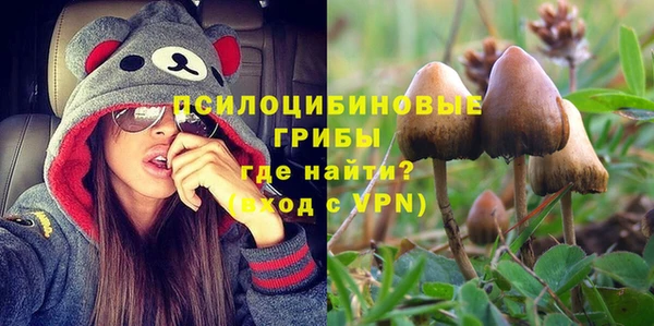 apvp Нея