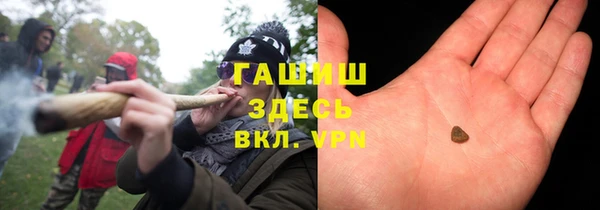 молекула духа Новозыбков