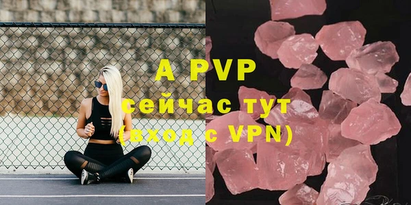 молекула духа Новозыбков
