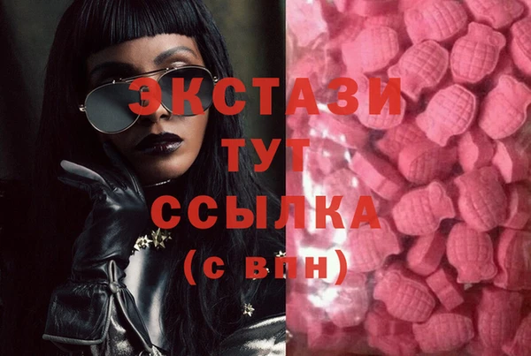 молекула духа Новозыбков