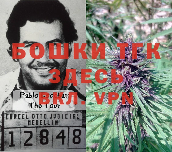 молекула духа Новозыбков