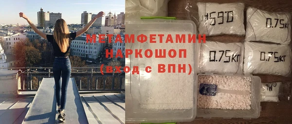 молекула духа Новозыбков