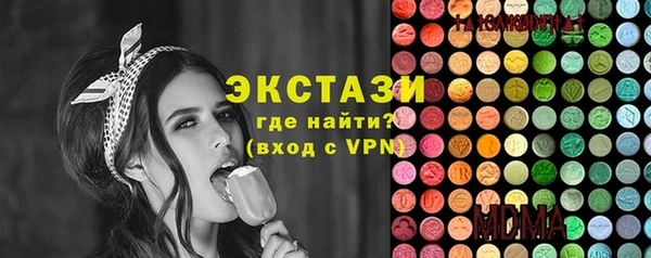 молекула духа Новозыбков