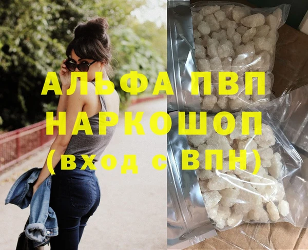 молекула духа Новозыбков
