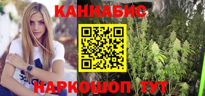 гашик Гай