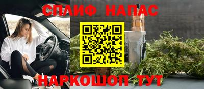 гашик Гай