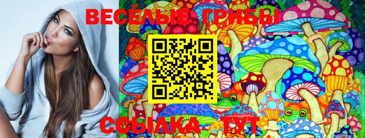 наркотики  Вход с VPN  Морозовск  Псилоцибиновые грибы Psilocybine cubensis 