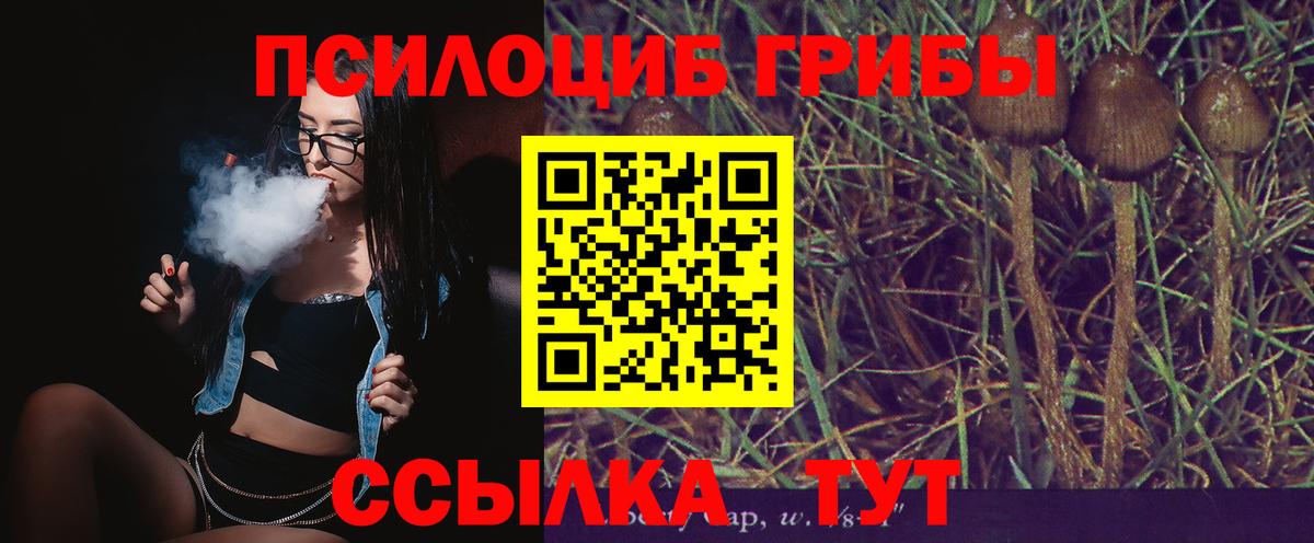 Псилоцибиновые грибы Magic Shrooms Морозовск