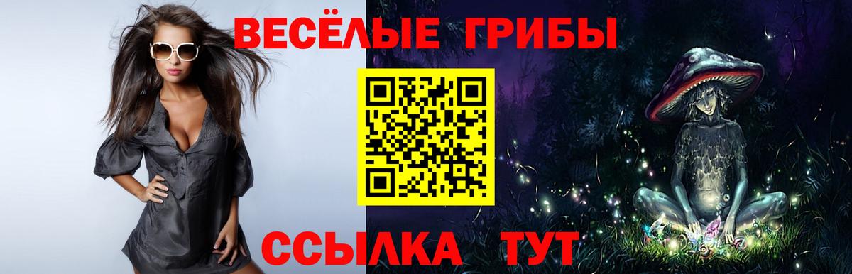 Псилоцибиновые грибы Magic Shrooms  Морозовск 